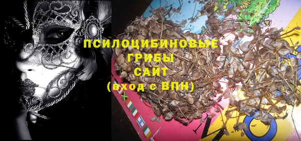 стафф Лабытнанги