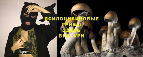 МДПВ Ладушкин