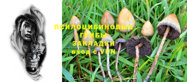 МДПВ Ладушкин