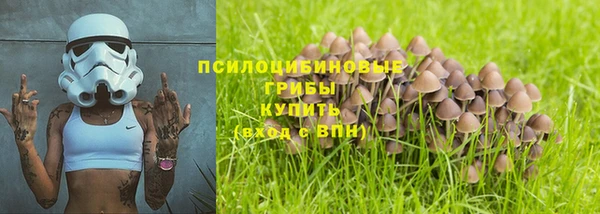 МДПВ Ладушкин