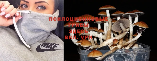 стафф Лабытнанги