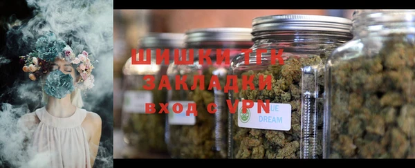 стафф Лабытнанги