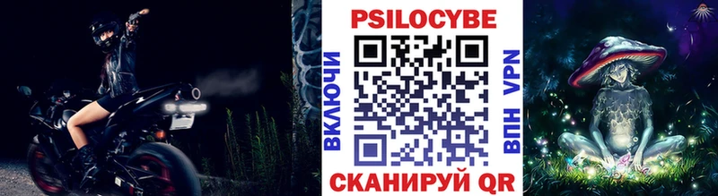 Купить  Новосокольники  Псилоцибиновые грибы Psilocybine cubensis 